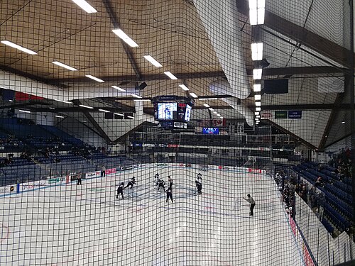 Alfond Arena